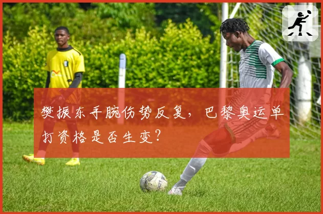 樊振东手腕伤势反复，巴黎奥运单打资格是否生变？