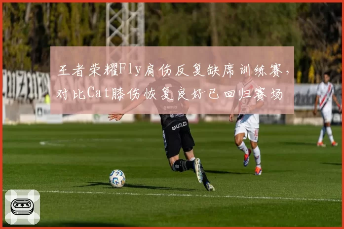 王者荣耀Fly肩伤反复缺席训练赛,对比Cat膝伤恢复良好已回归赛场
