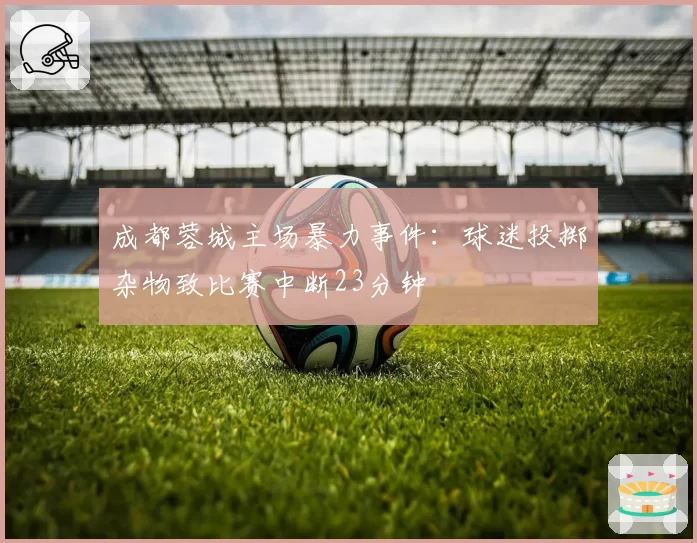 成都蓉城主场暴力事件:球迷投掷杂物致比赛中断23分钟