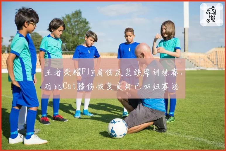 王者荣耀Fly肩伤反复缺席训练赛,对比Cat膝伤恢复良好已回归赛场