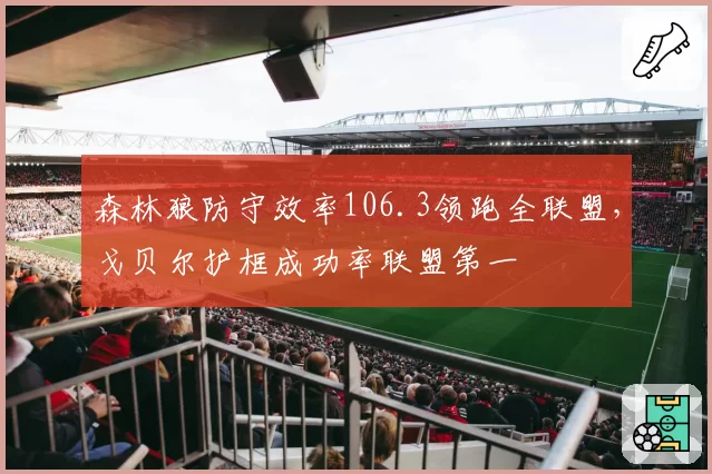 森林狼防守效率106.3领跑全联盟,戈贝尔护框成功率联盟第一